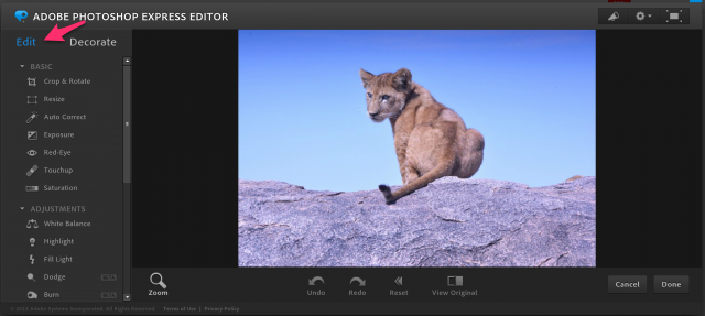 adobe photoshop express editor for windows 10