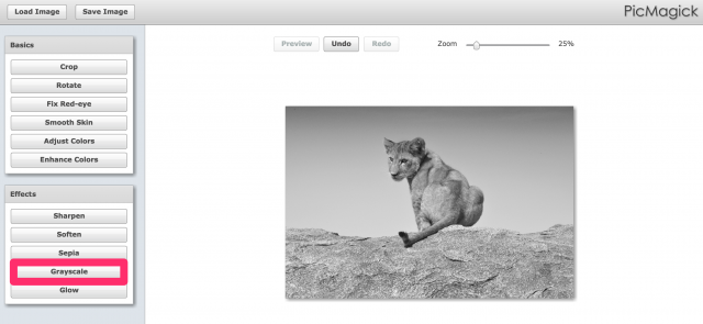 PicMagickの白黒加工画面