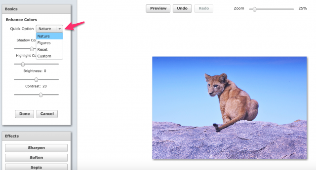 PicMagickのQuick option