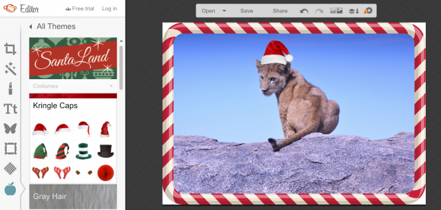 Pic Monkeyのテーマ